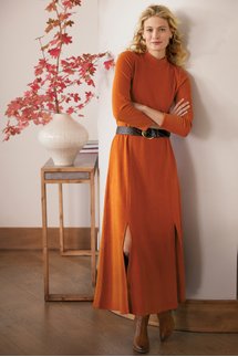 soft surroundings tulipe dress