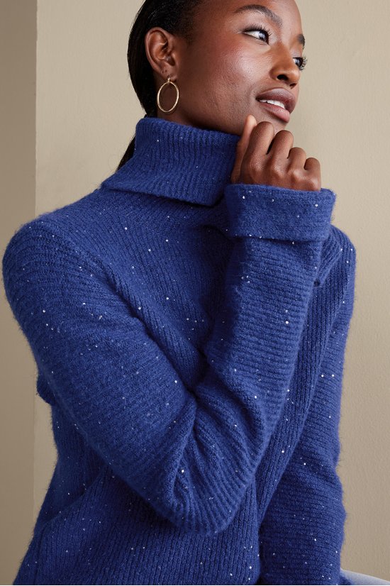 Linley Sequin Sweater