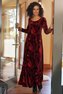 Santiago Velvet Embellished Dress Photo