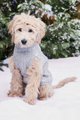 Falala Dog Sweater Photo