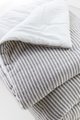 Isabelline Stripe Comforter Photo