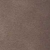 TAUPE SUEDE Swatch
