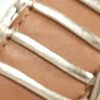 VACCHETTA/PLATINUM Swatch