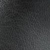 BLACK Swatch