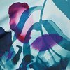 AQUA PALM Swatch