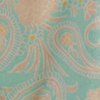 CLEARLY AQUA PAISLEY Swatch