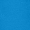 PALACE BLUE Swatch