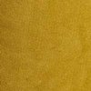 AMBER GREEN Swatch