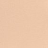 CAMEL Swatch