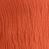 HOT CORAL Swatch