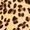 Leopard Swatch