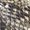 Beige Snake Swatch